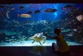 Woman in the oceanarium plays with the turtle Royalty Free Stock Photo