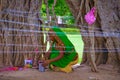 ADALAJ, GUJARAT, INDIA, June 2016 A woman offers prayers at the Banyan tree on the auspicious occasion of Vat Purnima