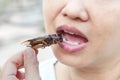 The woman opening her mouth to eat insects. The concept of protein food sources from insects.