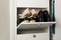 Woman opens Shoe Cabinet with Footwear in hallway. Storage ideas. Seasonal shoes storage Royalty Free Stock Photo