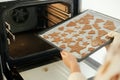 Woman in oven mitts putting tray with fresh gingerbread cookies in christmas festive shapes in modern oven in white kitchen.