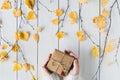 Woman packing gift in a box of kraft paper on white retro wood boards. leaves, birch branches. Thanksgiving. Autumn, fall concept. Royalty Free Stock Photo