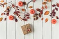 Woman packing gift in a box of kraft paper on white retro wood boards. leaves, rowan and small pumpkins. Thanksgiving. Autumn, fal Royalty Free Stock Photo