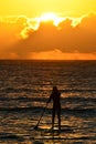 Paddleboarder at Sunrise Royalty Free Stock Photo