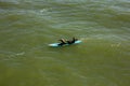 A Woman Paddles out to Catch the waves at Juno Beach