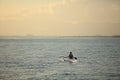 Woman in hat paddling on canoe in sunset ocean Royalty Free Stock Photo