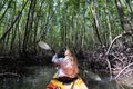 Woman paddling in kayak through mangrove forests at Krabi, Thailand Royalty Free Stock Photo