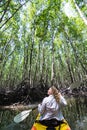 Woman paddling in kayak through mangrove forests at Krabi, Thailand Royalty Free Stock Photo