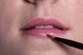 Woman paints lips Royalty Free Stock Photo