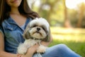 woman pampering shih tzu on her lap in a park Royalty Free Stock Photo