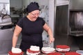 Woman pastry chef smiling and working happy, making cakes at the pastry shop.