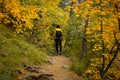 Woman path autumn forest. A young dark-haired woman in a yellow-black suit