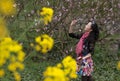 Woman in peach garden Royalty Free Stock Photo