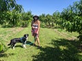 A woman peach picking with her dog on a sunny day Royalty Free Stock Photo