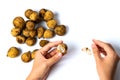 Woman peeling langsat tropical fruit on white background