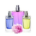 Woman perfume in beautiful bottles and peony flower isolated Royalty Free Stock Photo