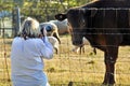 Woman pet photographer photographing variety farm animals Royalty Free Stock Photo