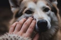 A woman petting a dog\'s face with a hand touching it Generative AI