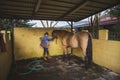 Woman petting her horse in the stable Royalty Free Stock Photo