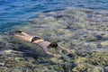 Woman photographer diving into water of Red sea near the reef Royalty Free Stock Photo