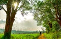 Woman photographer walk in country road among green grass field and tree in the evening while sunset. Beautiful rural landscape Royalty Free Stock Photo