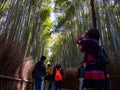 Woman photographs Arashiyama Bamboo Grove, Kyoto, Japan Royalty Free Stock Photo