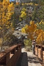 A woman photographs, standing on bridge