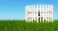 Woman trapped in picket fence Royalty Free Stock Photo