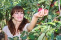 A woman picking apple