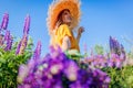 Woman picking bouquet of blooming purple lupin flowers walking in summer garden. Stylish girl wearing straw hat Royalty Free Stock Photo