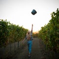 Woman picking grape during wine harvest in vineyard on late autumn afternoon Royalty Free Stock Photo