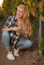 Woman picking grape during wine harvest in vineyard on late autumn afternoon Royalty Free Stock Photo