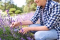 Woman with picking lavender flowers in garden