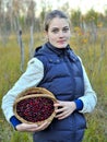 Woman picking ripe cranberies Royalty Free Stock Photo
