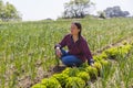 Woman picking salad on organic farm Royalty Free Stock Photo