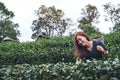 A woman picking tea leaf in a highland tea plantation Royalty Free Stock Photo