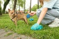 Woman picking up her dog`s poop from green grass in park, closeup Royalty Free Stock Photo