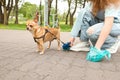 Woman picking up her dog`s poop in park Royalty Free Stock Photo