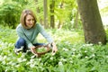 Woman Picking Wild Garlic In Woodland Putting Leaves In Basket Royalty Free Stock Photo