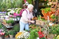 Woman picks on plants in a flower shop Royalty Free Stock Photo