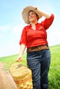 Woman with a picnic basket Royalty Free Stock Photo