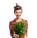 Woman with pin-up hairstyle holding flower pot with yellow daisies Royalty Free Stock Photo