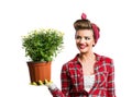 Woman with pin-up hairstyle holding flower pot with yellow daisies Royalty Free Stock Photo