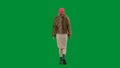 Woman in pink balaclava, tiger fur coat and evening dress walking. Woman freak on green background in studio. Fashion Royalty Free Stock Photo