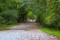 A woman in pink shorts walking down a long winding dirt hiking trail covered with fallen autumn leaves Royalty Free Stock Photo