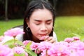 Woman with pink zinnia flower bloom in the garden,lady and beautiful flower for valentine festive