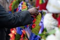 Woman Places Remembrance Day Poppy on Wreath