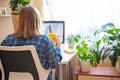 Woman in home working place before computer and with green house plants near window. Shot from the back. Royalty Free Stock Photo