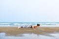 Woman Planking Stretching Flex Training Healthy Lifestyle Beach