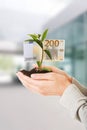 Woman with plant and euros in hand